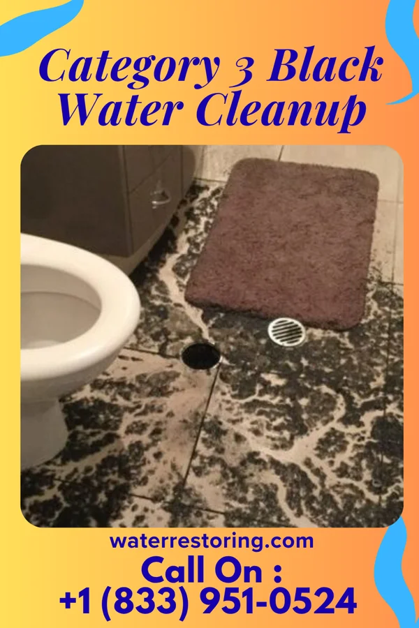 Category 3 Black Water Cleanup in Charlack, MO