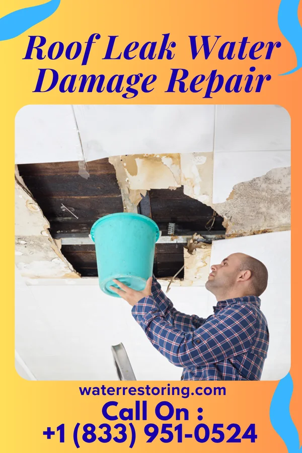 Roof Leak Water Damage Repair in Charlack, MO